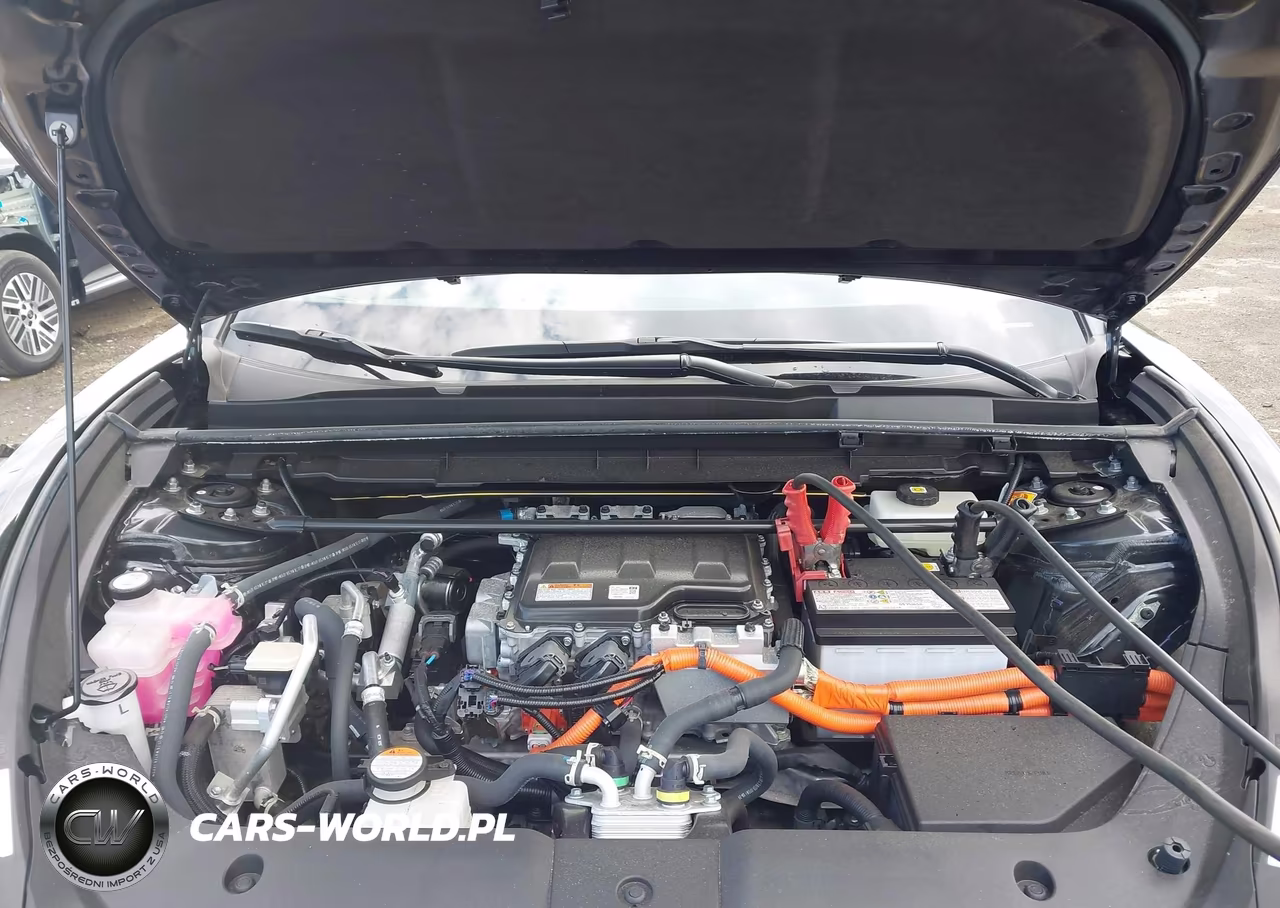 2024 Lexus Rz 450E Premium VIN:JTJAAAAB8RA024316 - 10
