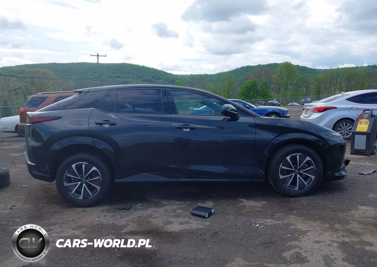 2024 Lexus Rz 450E Premium VIN:JTJAAAAB8RA024316 - 13
