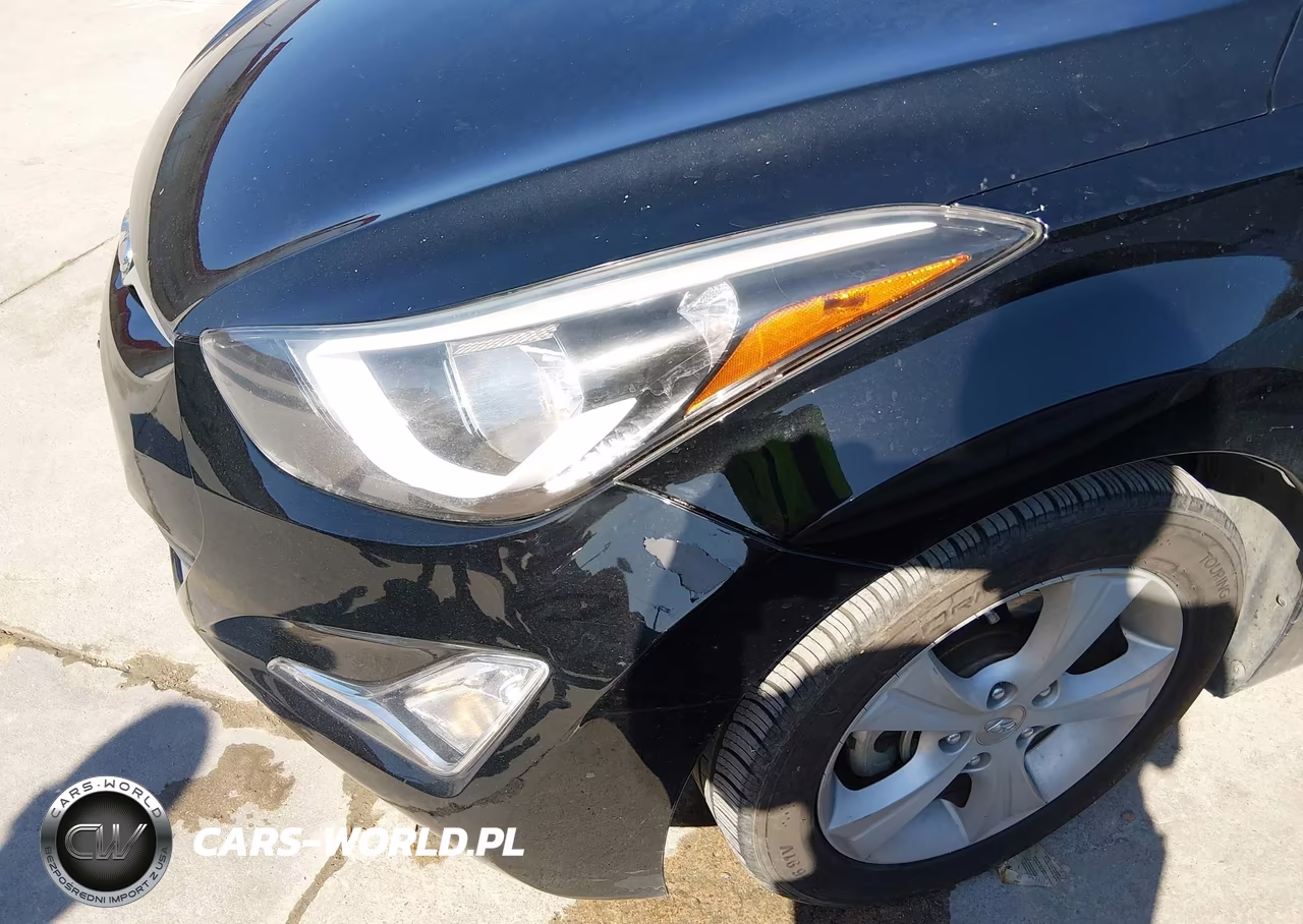 2016 Hyundai Elantra Value Edition VIN:5NPDH4AE5GH756139 - 6