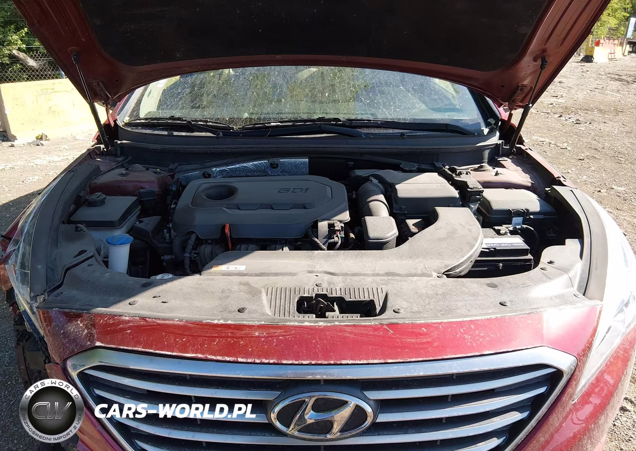 2015 Hyundai Sonata Se VIN:5NPE24AF0FH160305 - 10