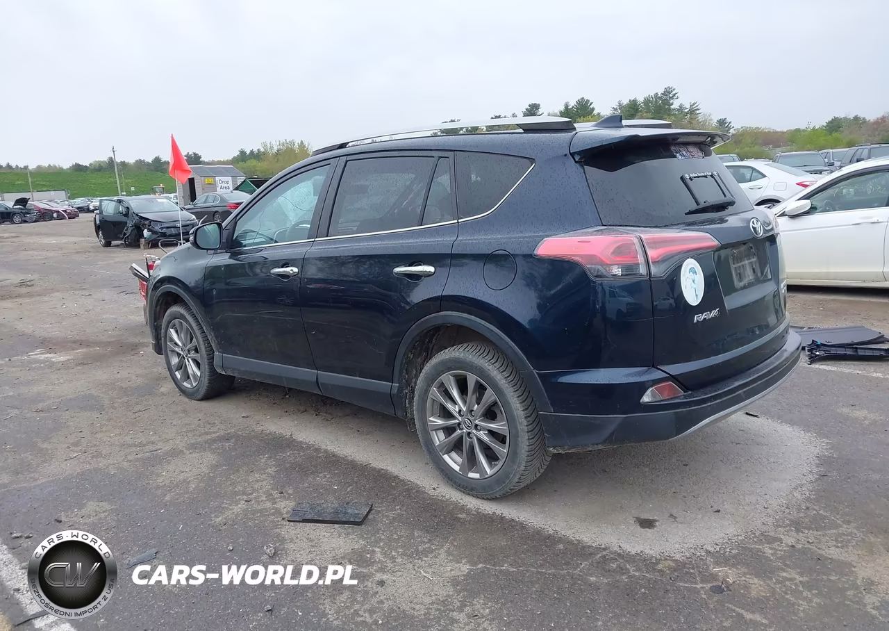 2017 Toyota Rav4 Limited VIN:JTMDFREV8HD217924 - 3