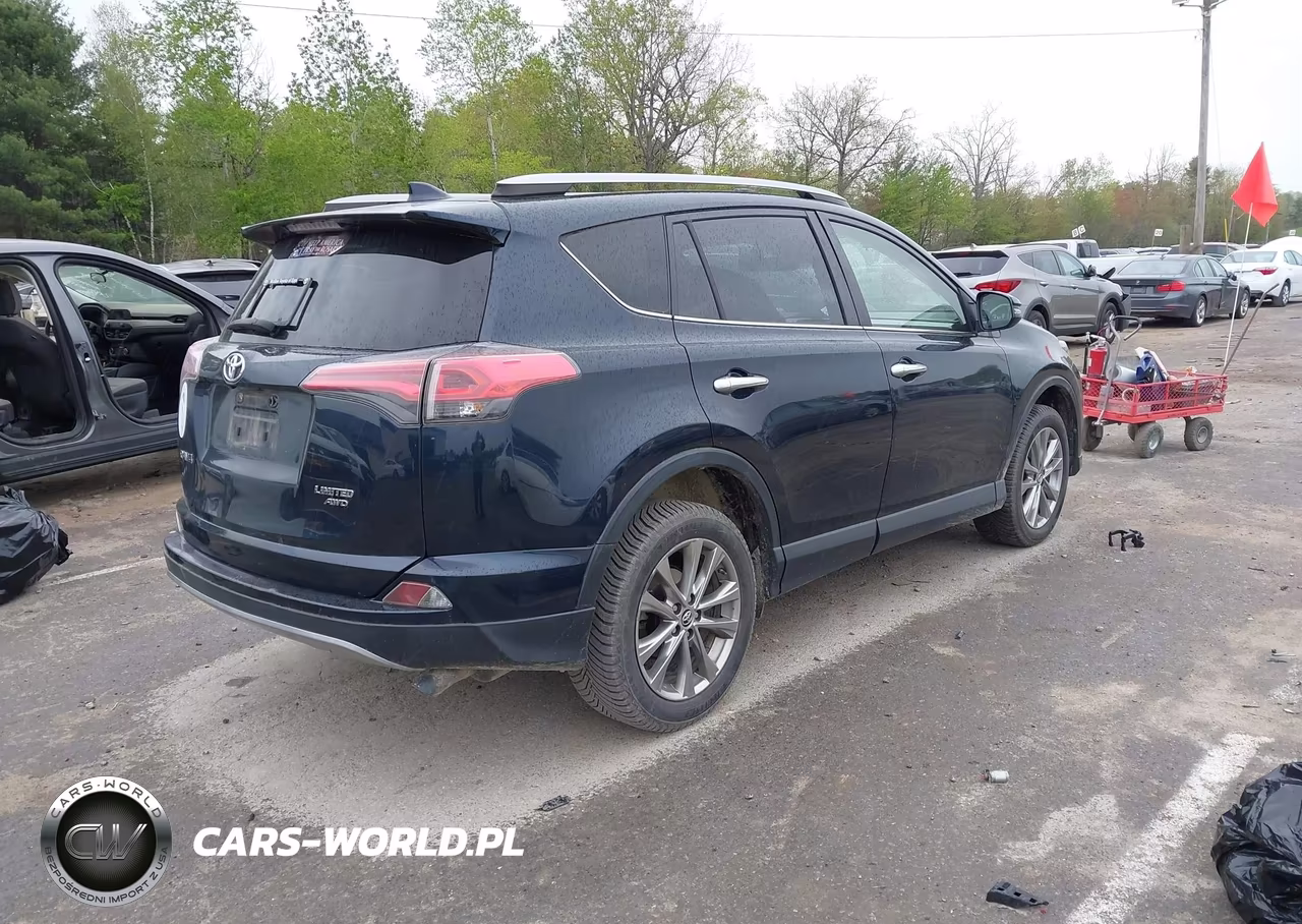 2017 Toyota Rav4 Limited VIN:JTMDFREV8HD217924 - 4