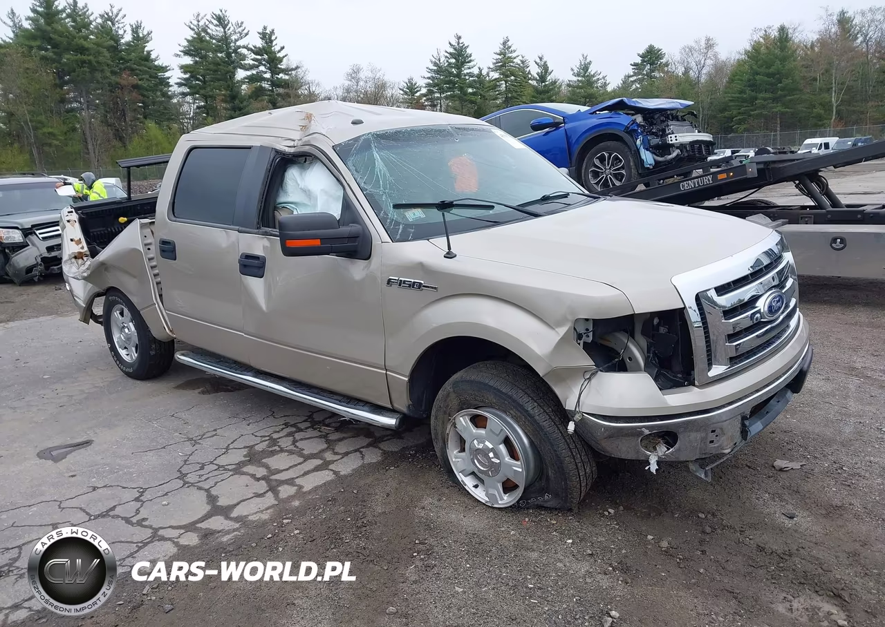 Główne zdjęcie 2010 Ford F-150 Fx4-Harley-Davidson-King Ranch-Lariat-Platinum-Xl-Xlt