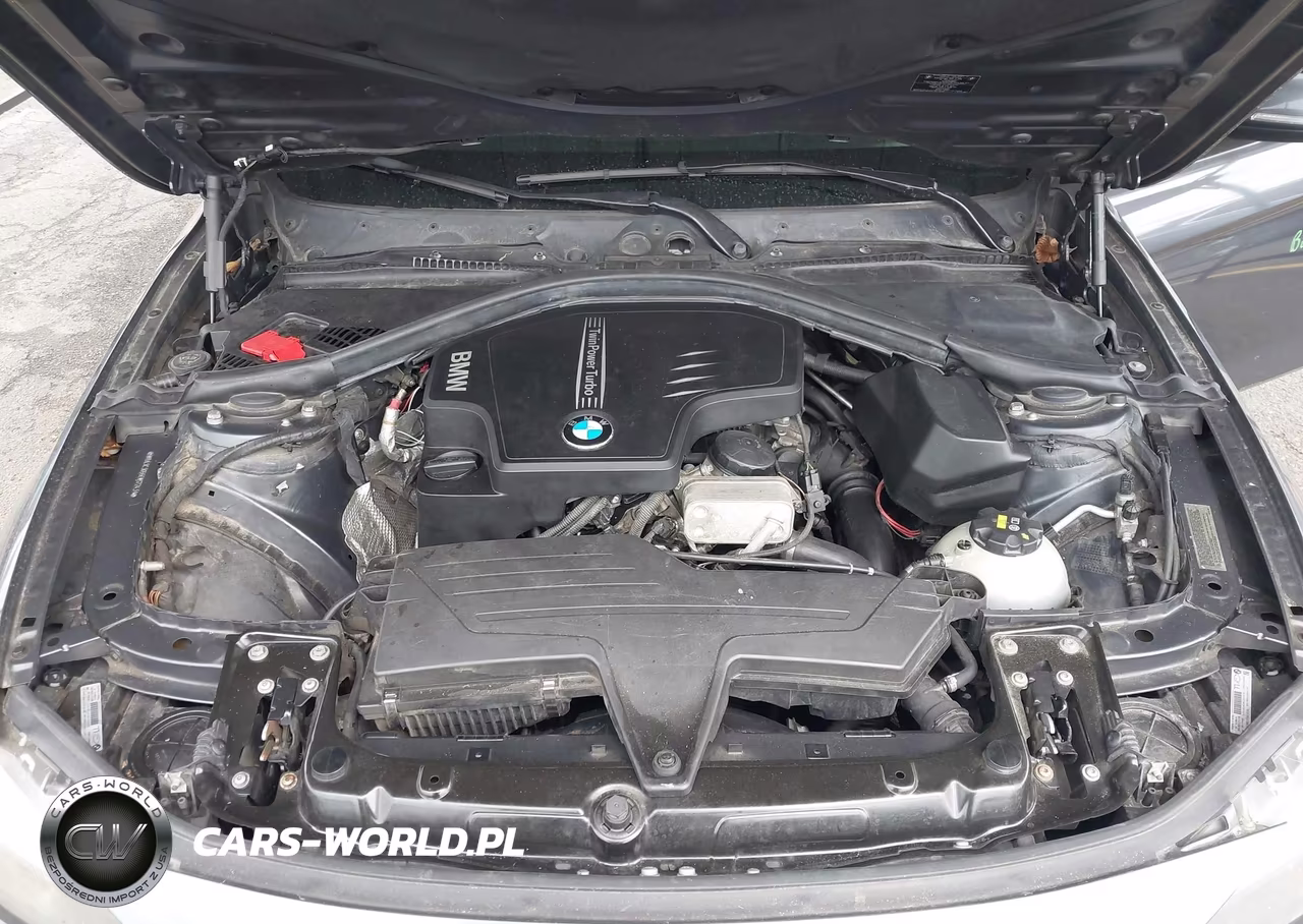 2014 BMW 320I xDrive VIN:WBA3C3G55ENS72431 - 10