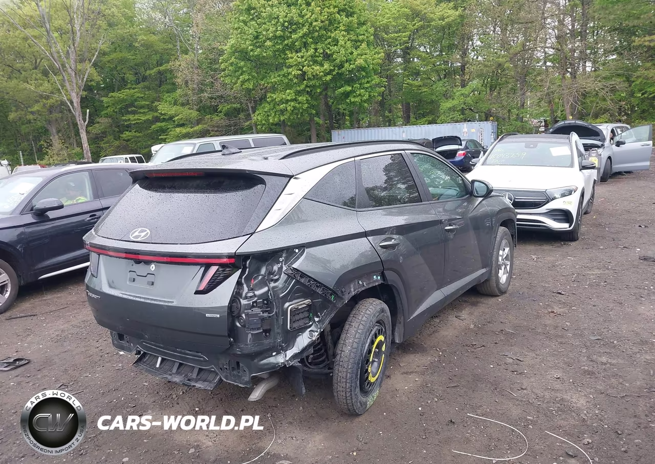 2023 Hyundai Tucson Sel VIN:5NMJBCAE4PH234534 - 4