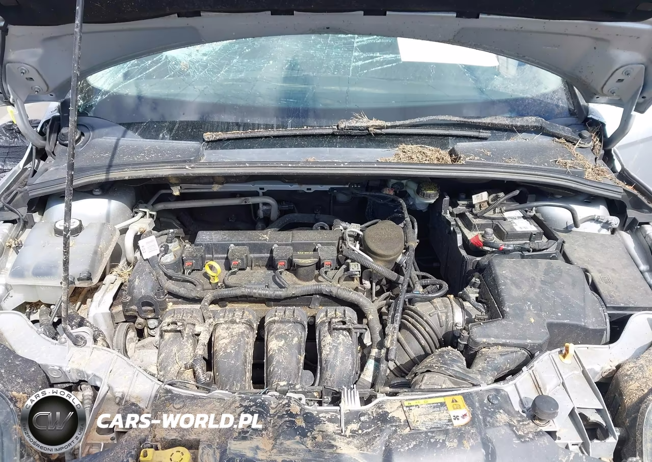 2012 Ford Focus Titanium VIN:1FAHP3J23CL479846 - 10