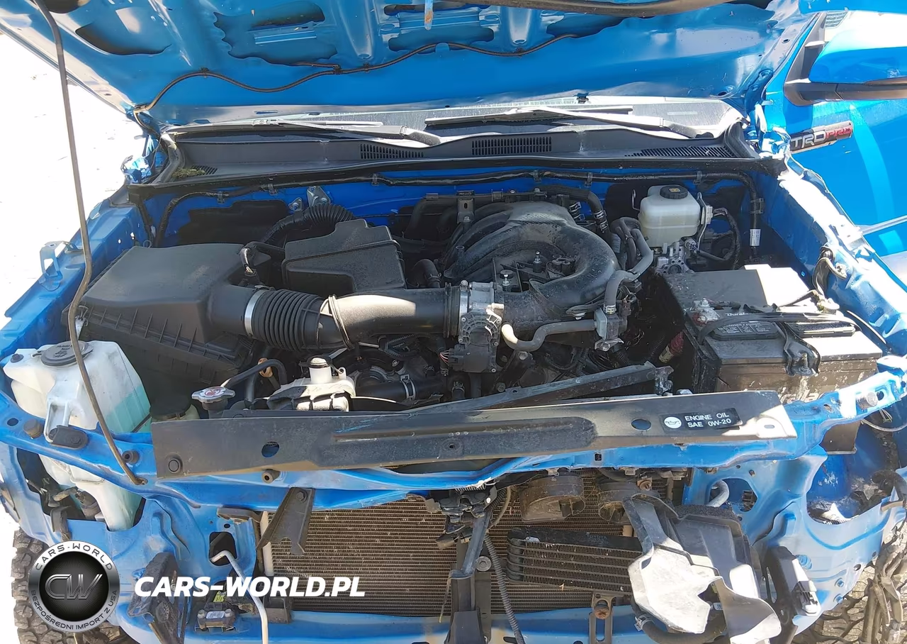 2019 Toyota Tacoma Trd Pro VIN:5TFCZ5ANXKX183685 - 10
