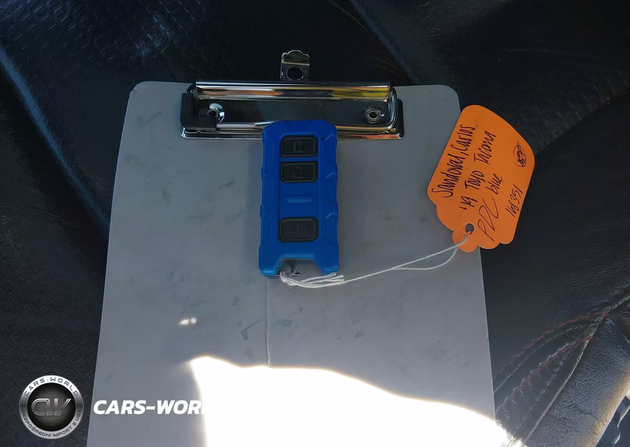 2019 Toyota Tacoma Trd Pro VIN:5TFCZ5ANXKX183685 - 11