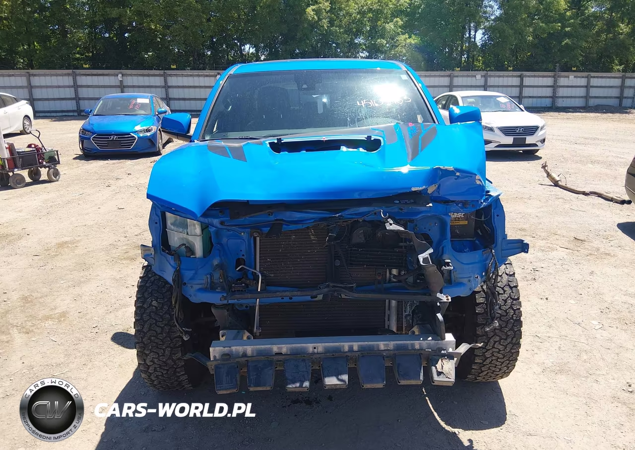 2019 Toyota Tacoma Trd Pro VIN:5TFCZ5ANXKX183685 - 12