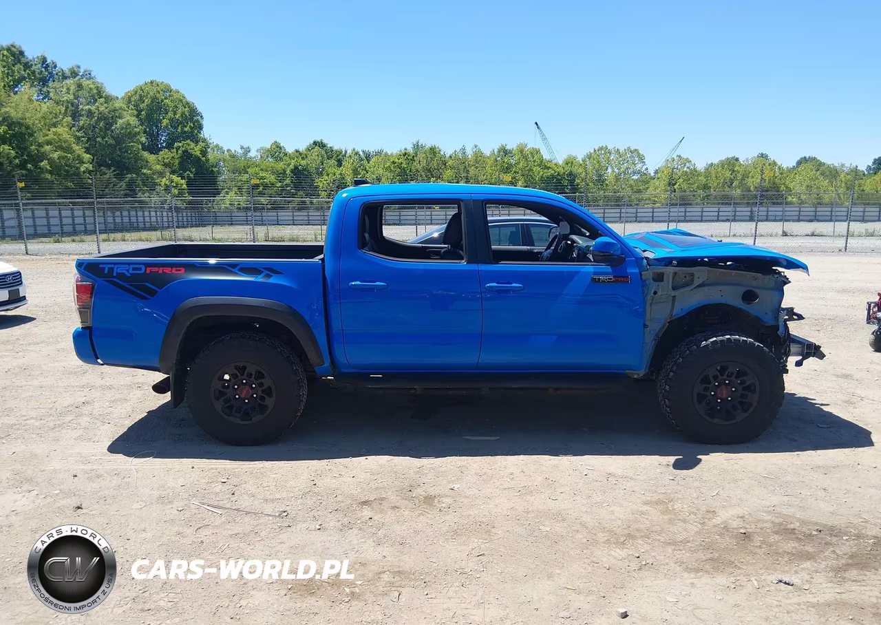 2019 Toyota Tacoma Trd Pro VIN:5TFCZ5ANXKX183685 - 13