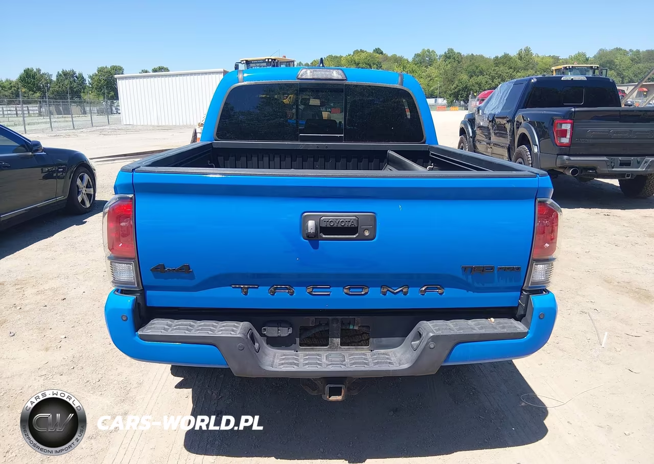 2019 Toyota Tacoma Trd Pro VIN:5TFCZ5ANXKX183685 - 16