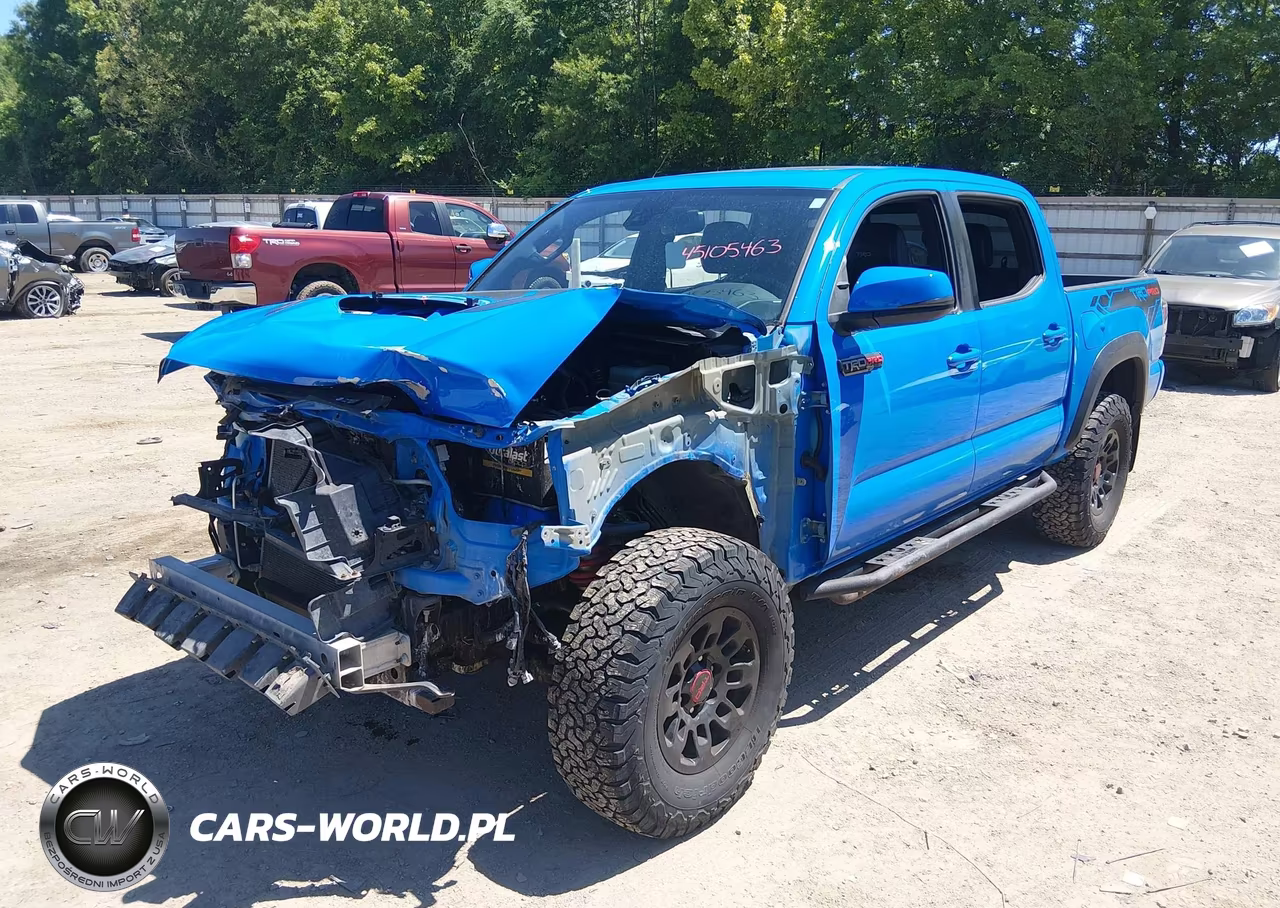 2019 Toyota Tacoma Trd Pro VIN:5TFCZ5ANXKX183685 - 2