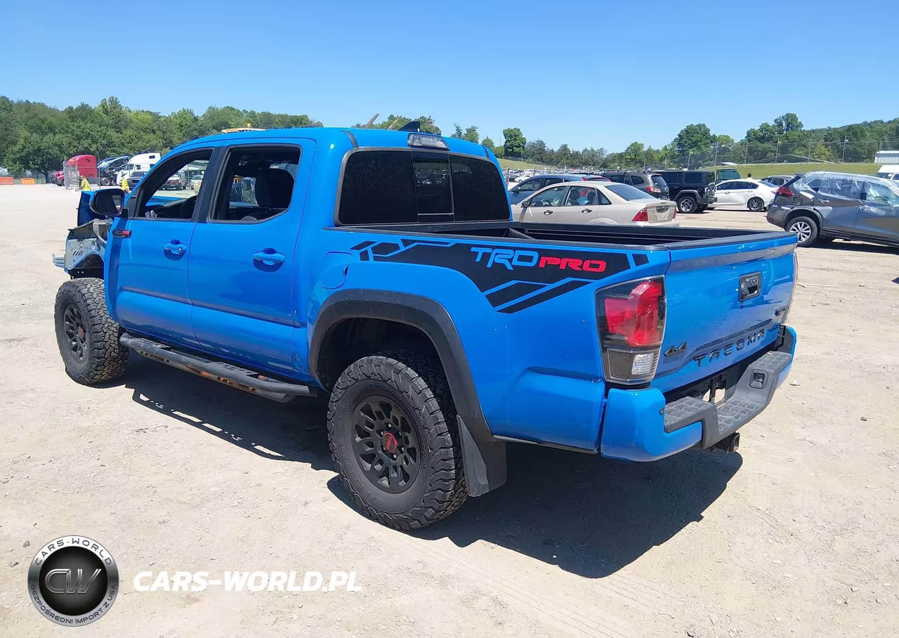 2019 Toyota Tacoma Trd Pro VIN:5TFCZ5ANXKX183685 - 3