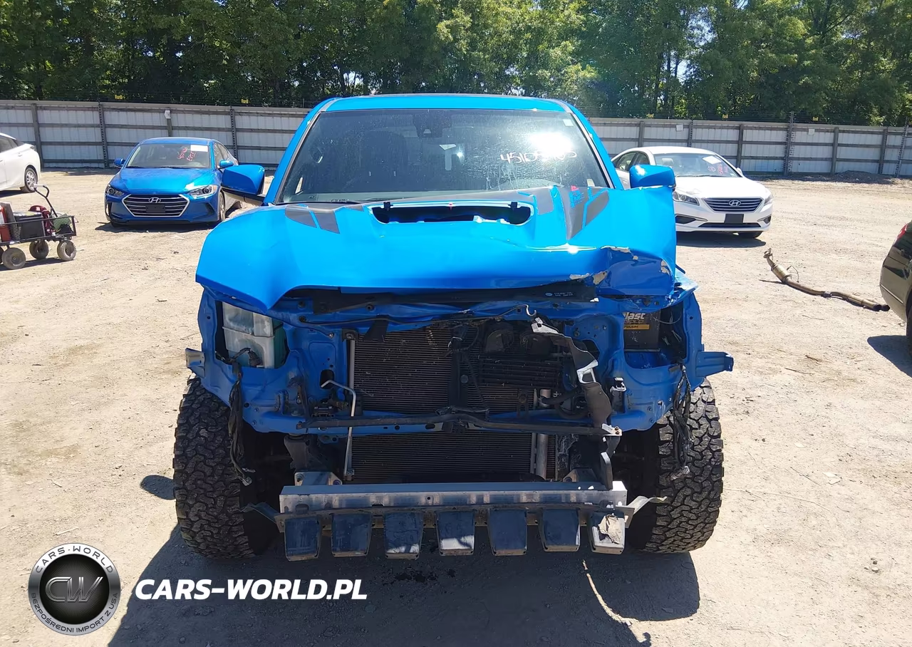 2019 Toyota Tacoma Trd Pro VIN:5TFCZ5ANXKX183685 - 6
