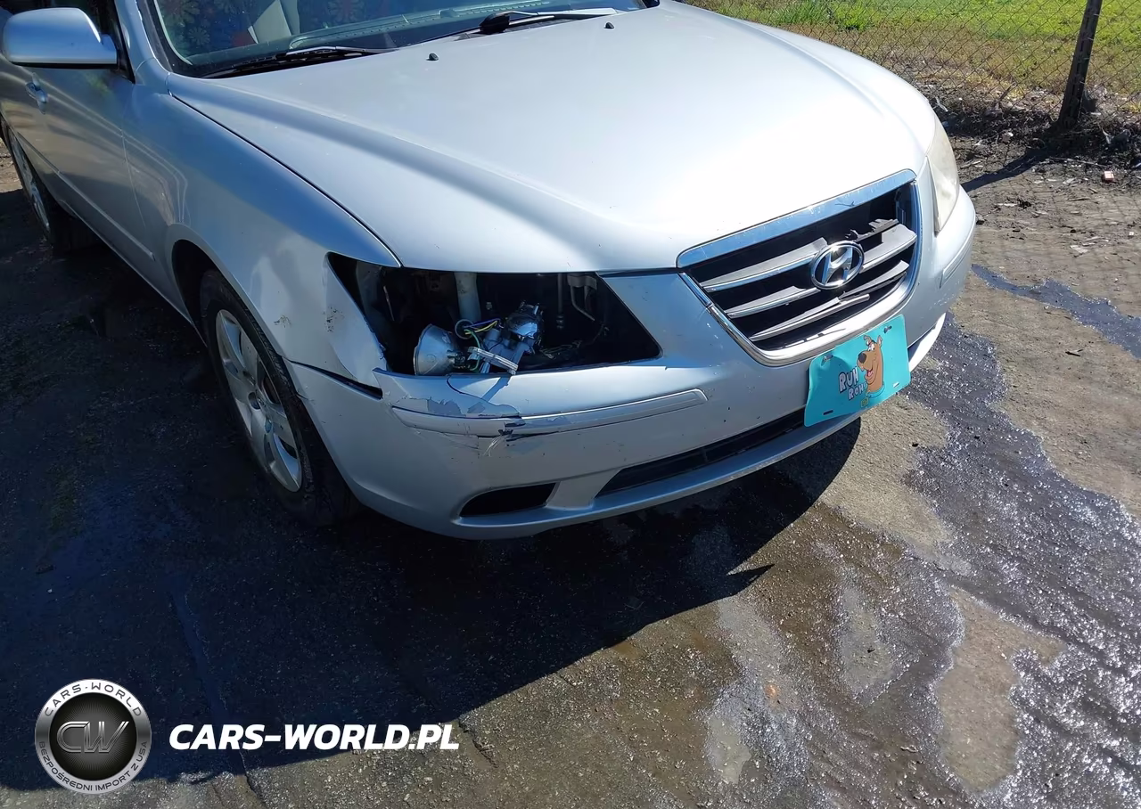 2010 Hyundai Sonata Gls VIN:5NPET4AC7AH654043 - 6