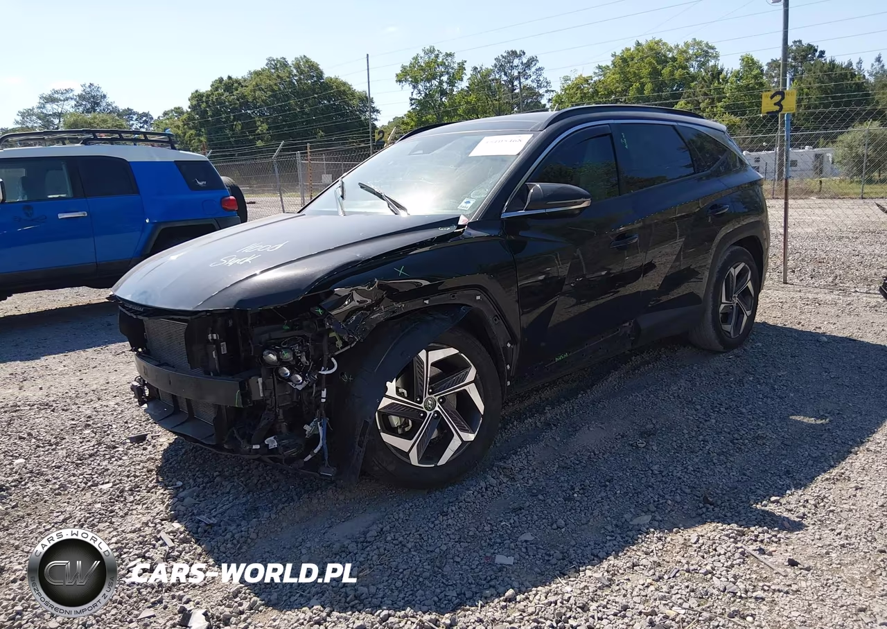 2024 Hyundai Tucson Limited VIN:5NMJE3DEXRH415708 - 2