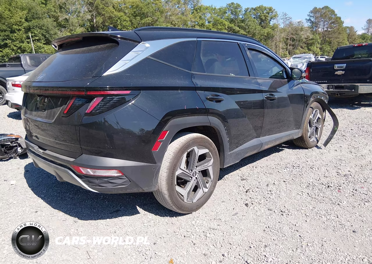 2024 Hyundai Tucson Limited VIN:5NMJE3DEXRH415708 - 4