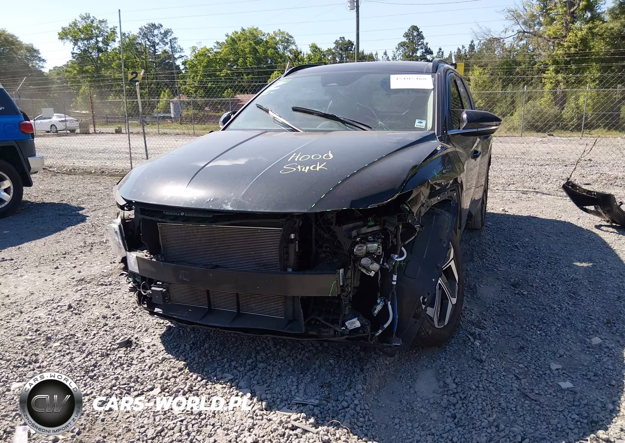 2024 Hyundai Tucson Limited VIN:5NMJE3DEXRH415708 - 6