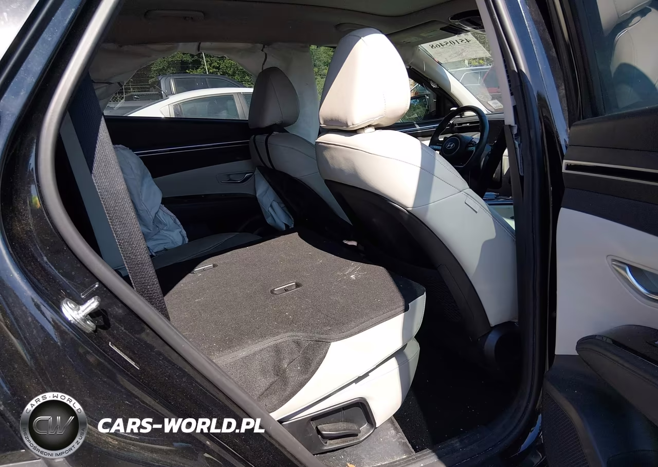 2024 Hyundai Tucson Limited VIN:5NMJE3DEXRH415708 - 8