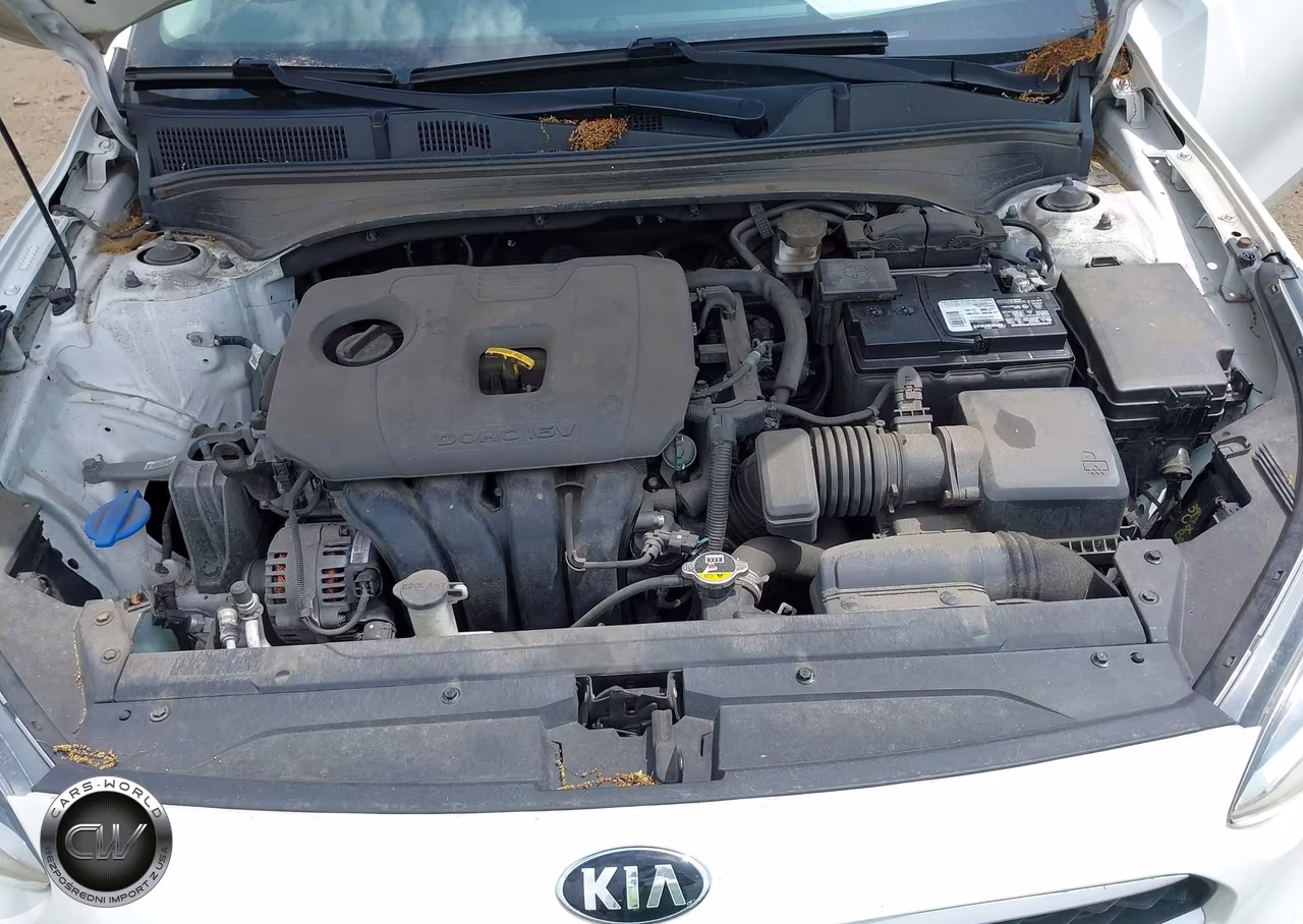 2021 Kia Forte Fe VIN:3KPF24AD8ME328230 - 10