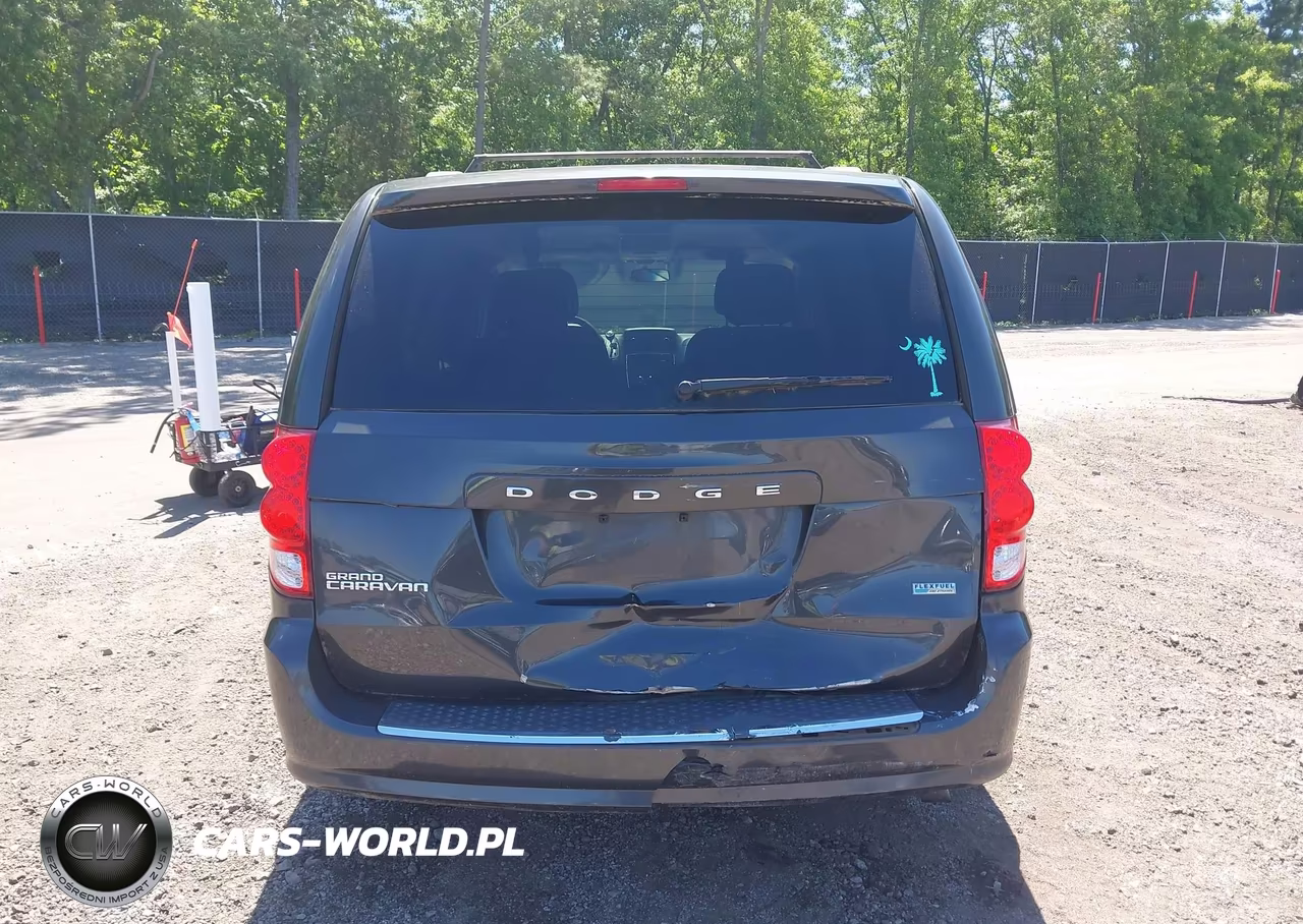 2012 Dodge Grand Caravan Sxt VIN:2C4RDGCG2CR301876 - 17
