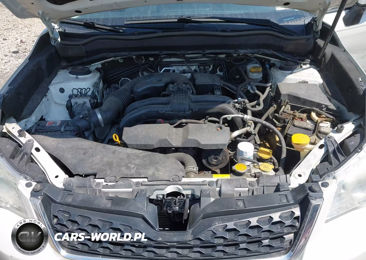2014 Subaru Forester 2.5I Premium VIN:JF2SJADC8EH554459 - 10