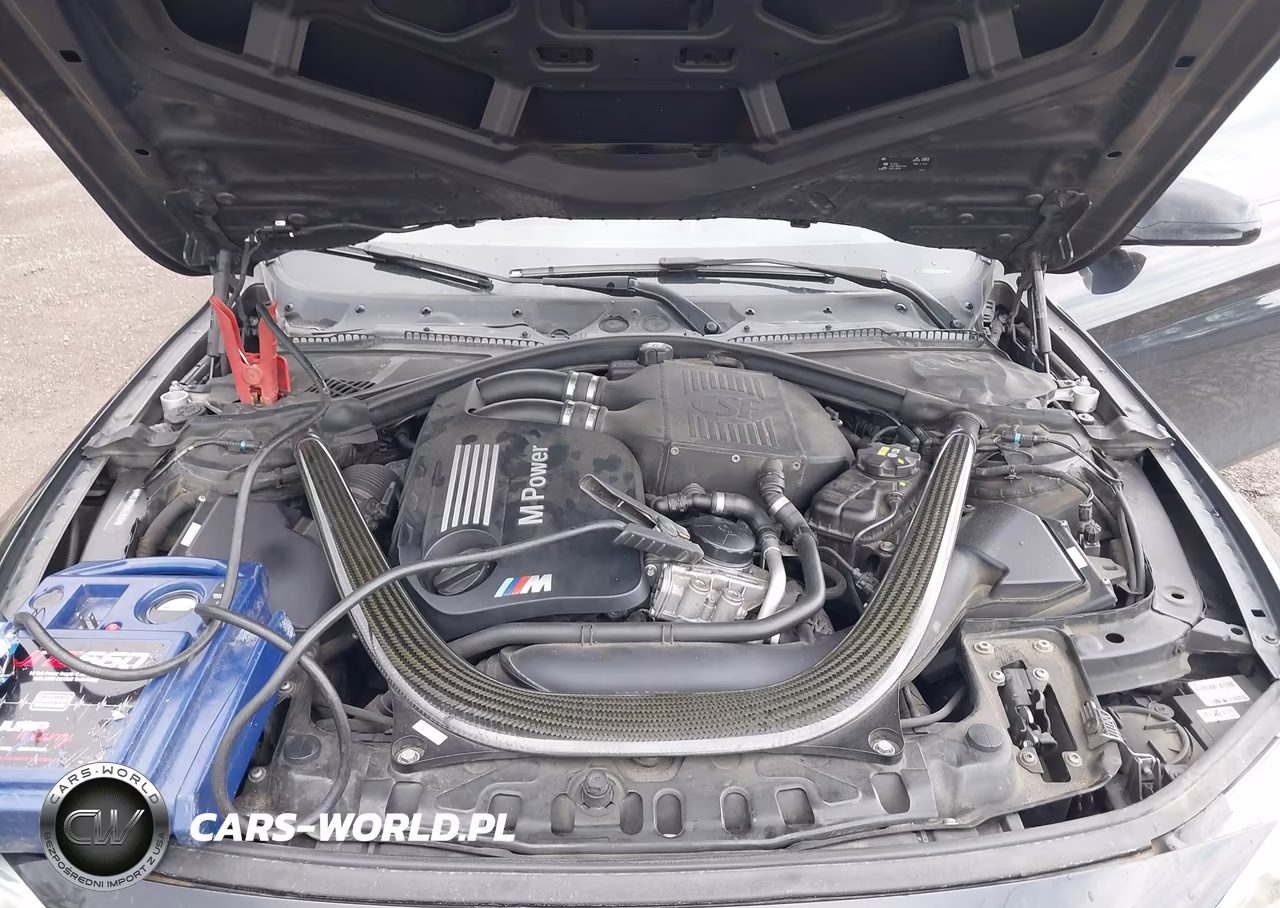 2016 BMW M4 VIN:WBS3R9C56GK336161 - 10