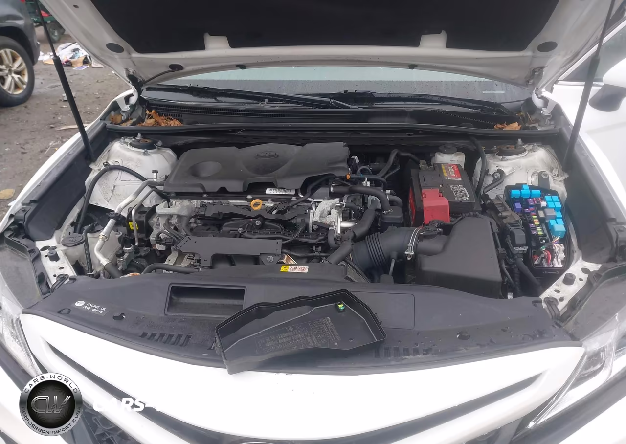 2020 Toyota Camry Se VIN:4T1G11AK3LU976316 - 10