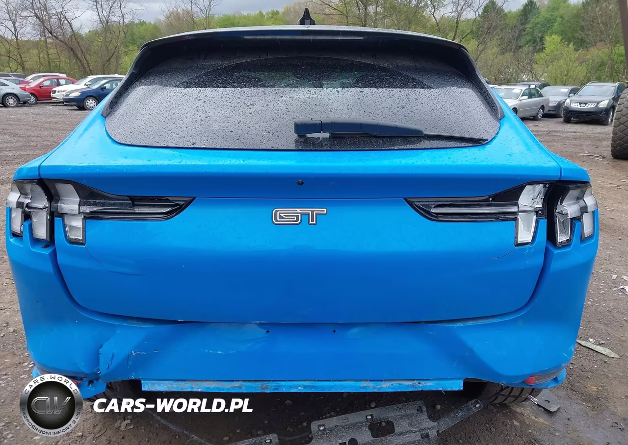 2024 Ford Mustang Mach-E Gt VIN:3FMTK4SX3RMA11122 - 16