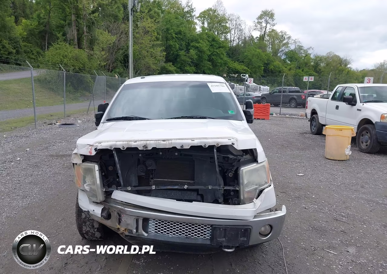 2011 Ford F-150 Xlt VIN:1FTFW1ET1BKD51203 - 12