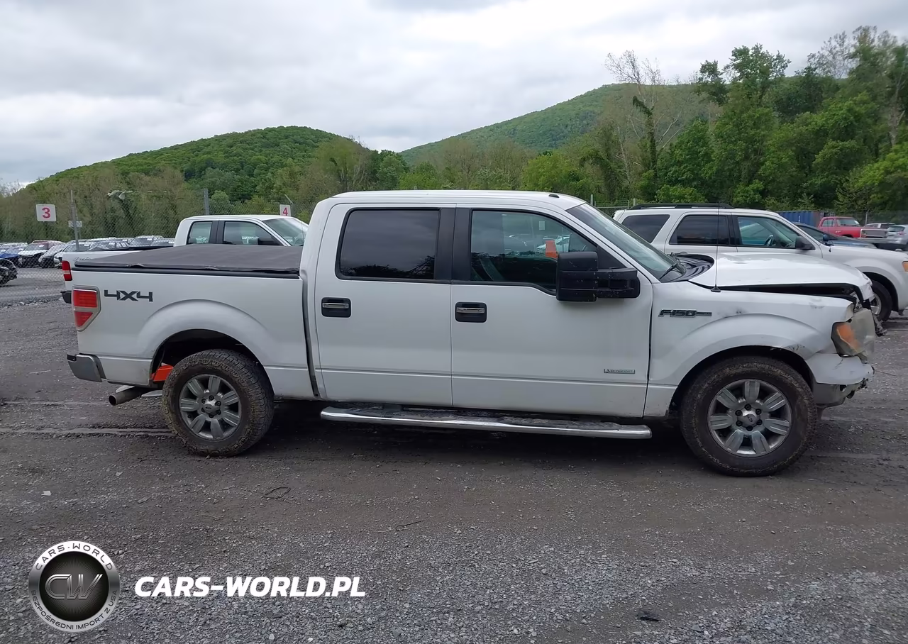 2011 Ford F-150 Xlt VIN:1FTFW1ET1BKD51203 - 13