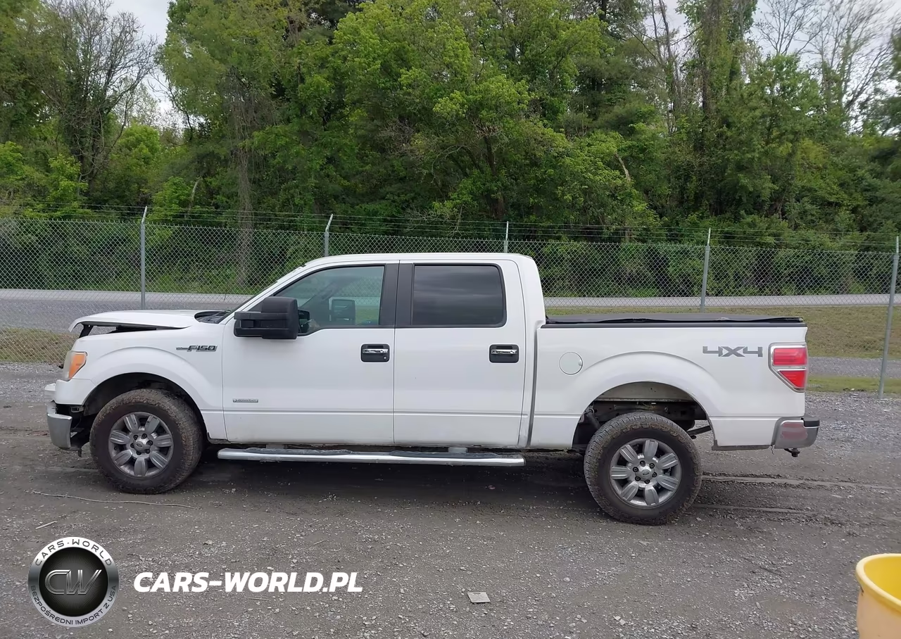 2011 Ford F-150 Xlt VIN:1FTFW1ET1BKD51203 - 14