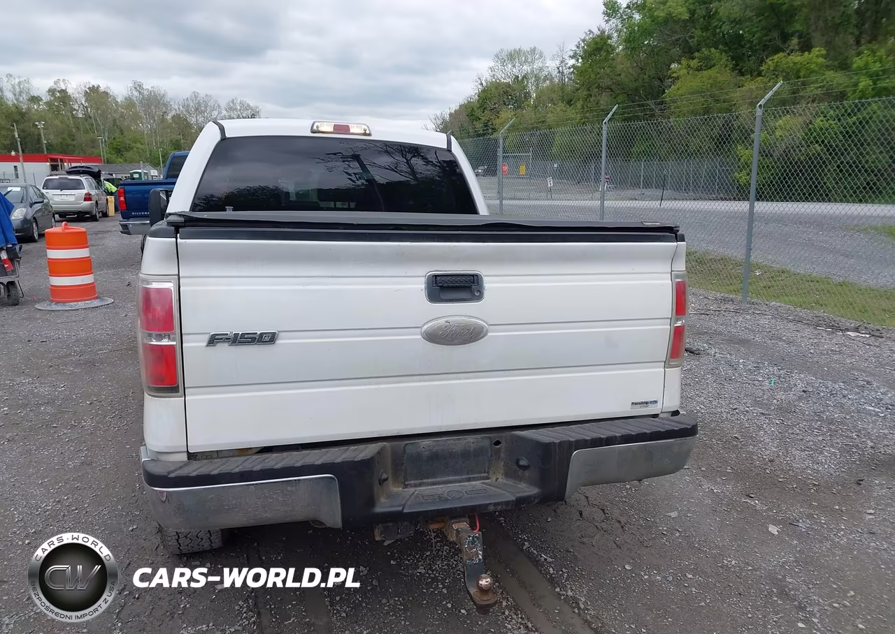 2011 Ford F-150 Xlt VIN:1FTFW1ET1BKD51203 - 16