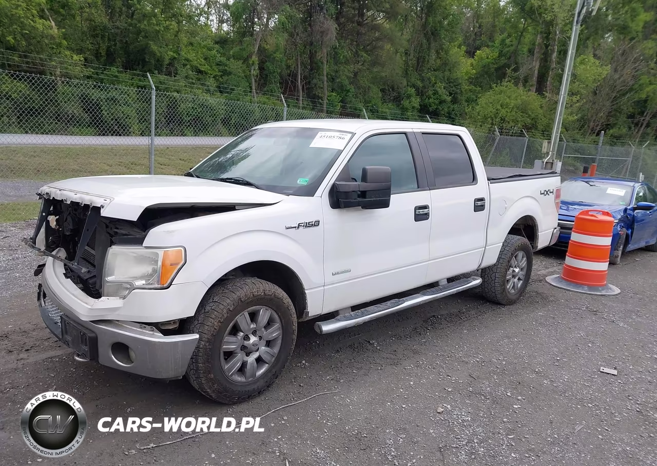 2011 Ford F-150 Xlt VIN:1FTFW1ET1BKD51203 - 2