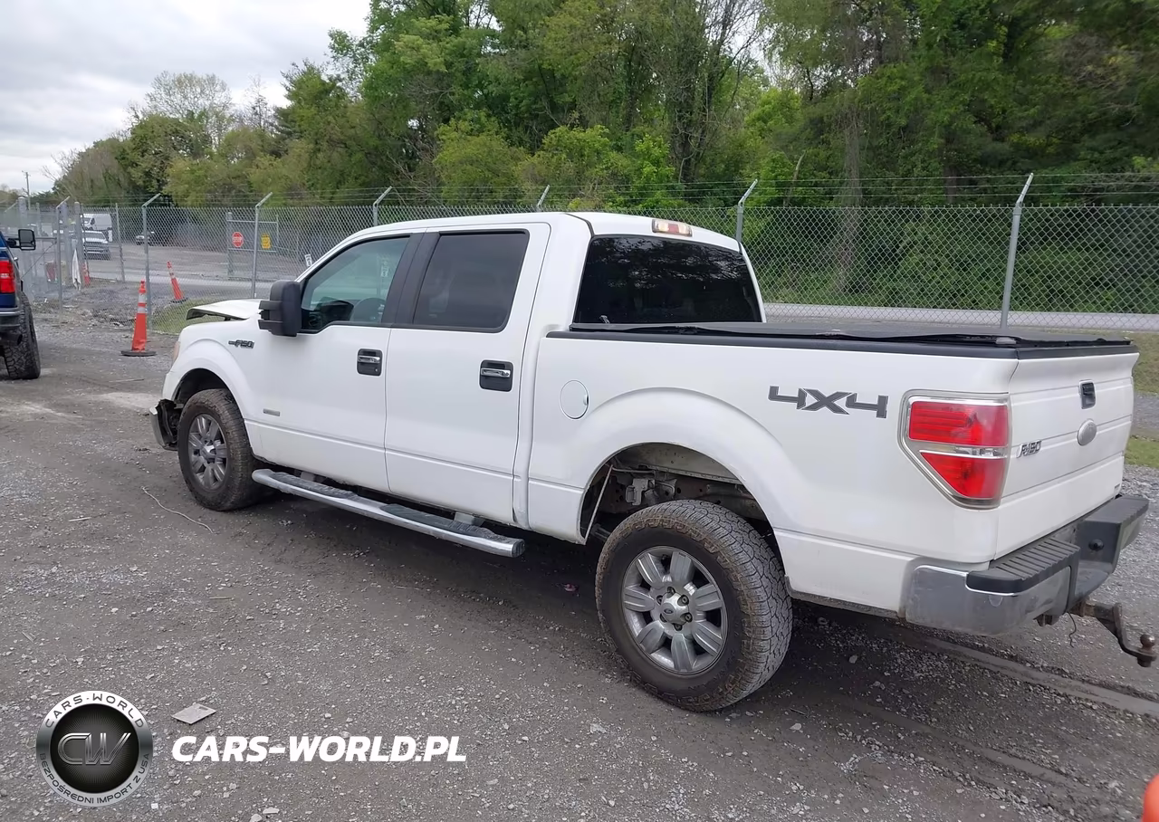 2011 Ford F-150 Xlt VIN:1FTFW1ET1BKD51203 - 3