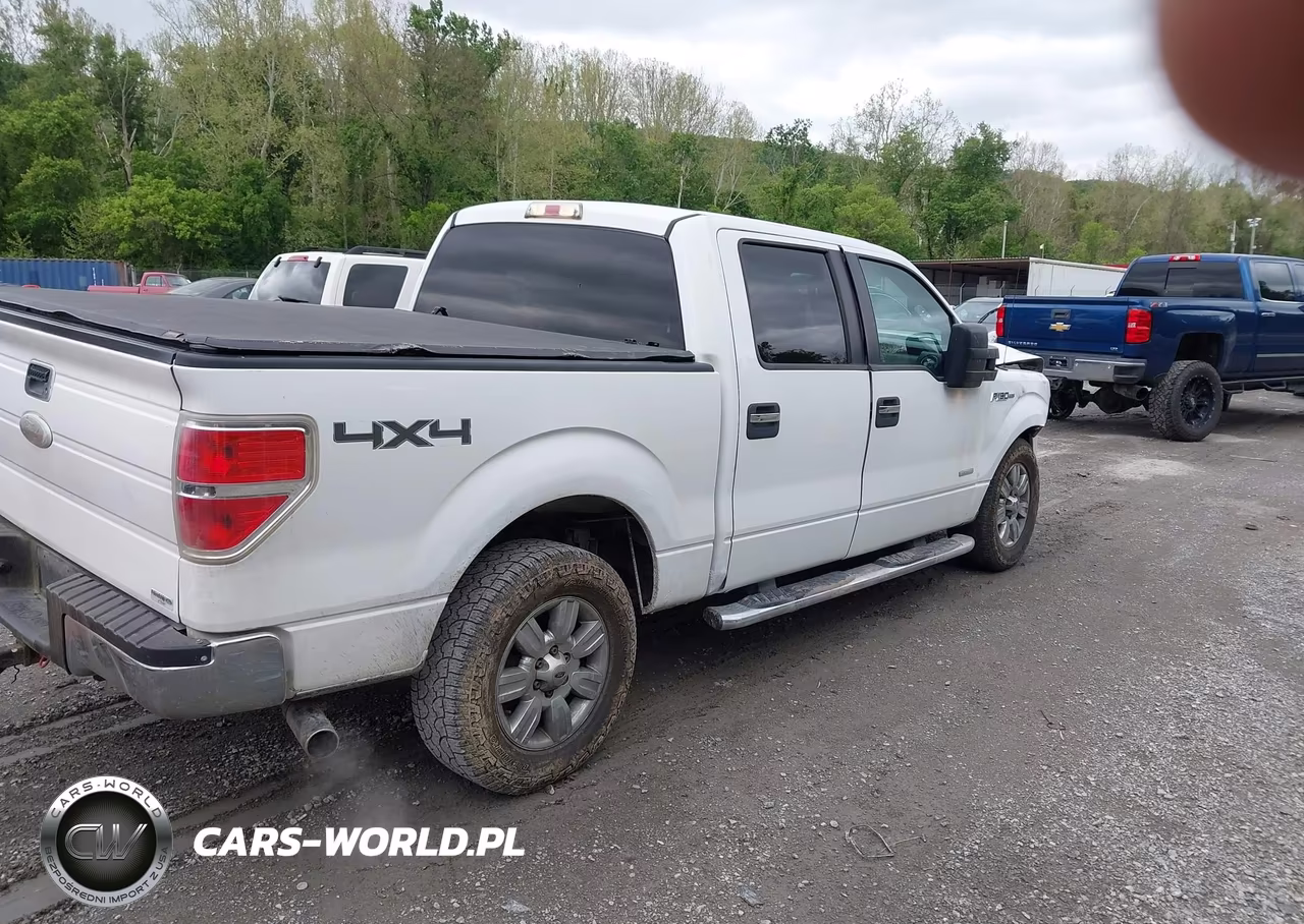 2011 Ford F-150 Xlt VIN:1FTFW1ET1BKD51203 - 4