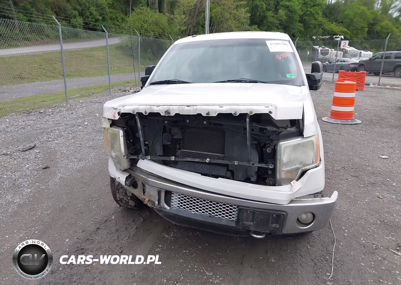 2011 Ford F-150 Xlt VIN:1FTFW1ET1BKD51203 - 6
