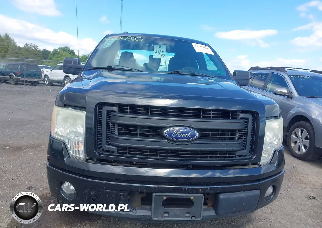 2013 Ford F-150 Stx VIN:1FTEX1CMXDKG42189 - 12