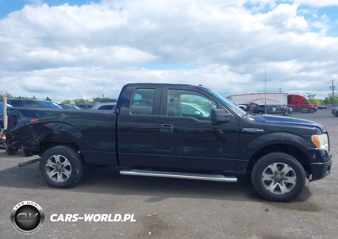2013 Ford F-150 Stx VIN:1FTEX1CMXDKG42189 - 13