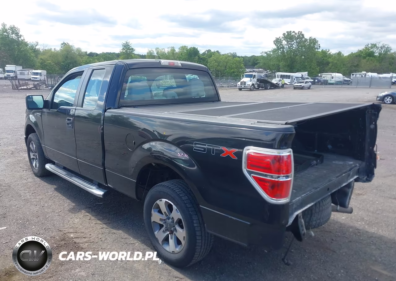 2013 Ford F-150 Stx VIN:1FTEX1CMXDKG42189 - 3