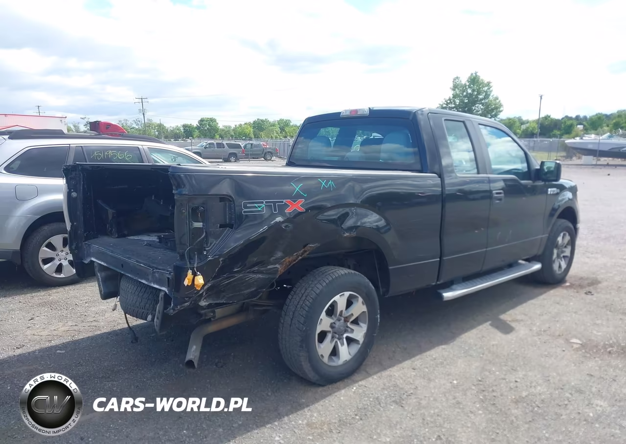 2013 Ford F-150 Stx VIN:1FTEX1CMXDKG42189 - 4