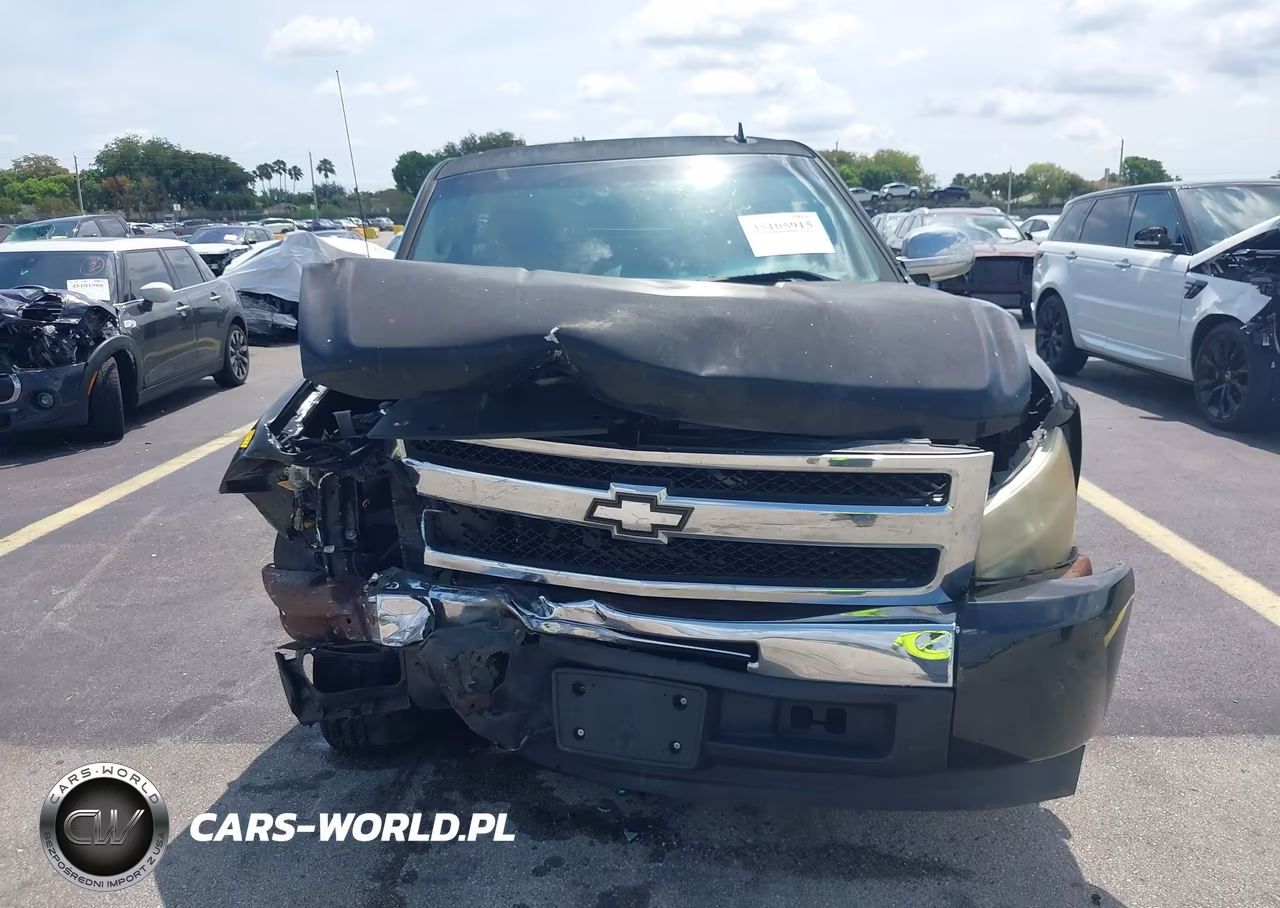 2009 Chevrolet Silverado 1500 Work Truck VIN:1GCEC19X29Z100936 - 12
