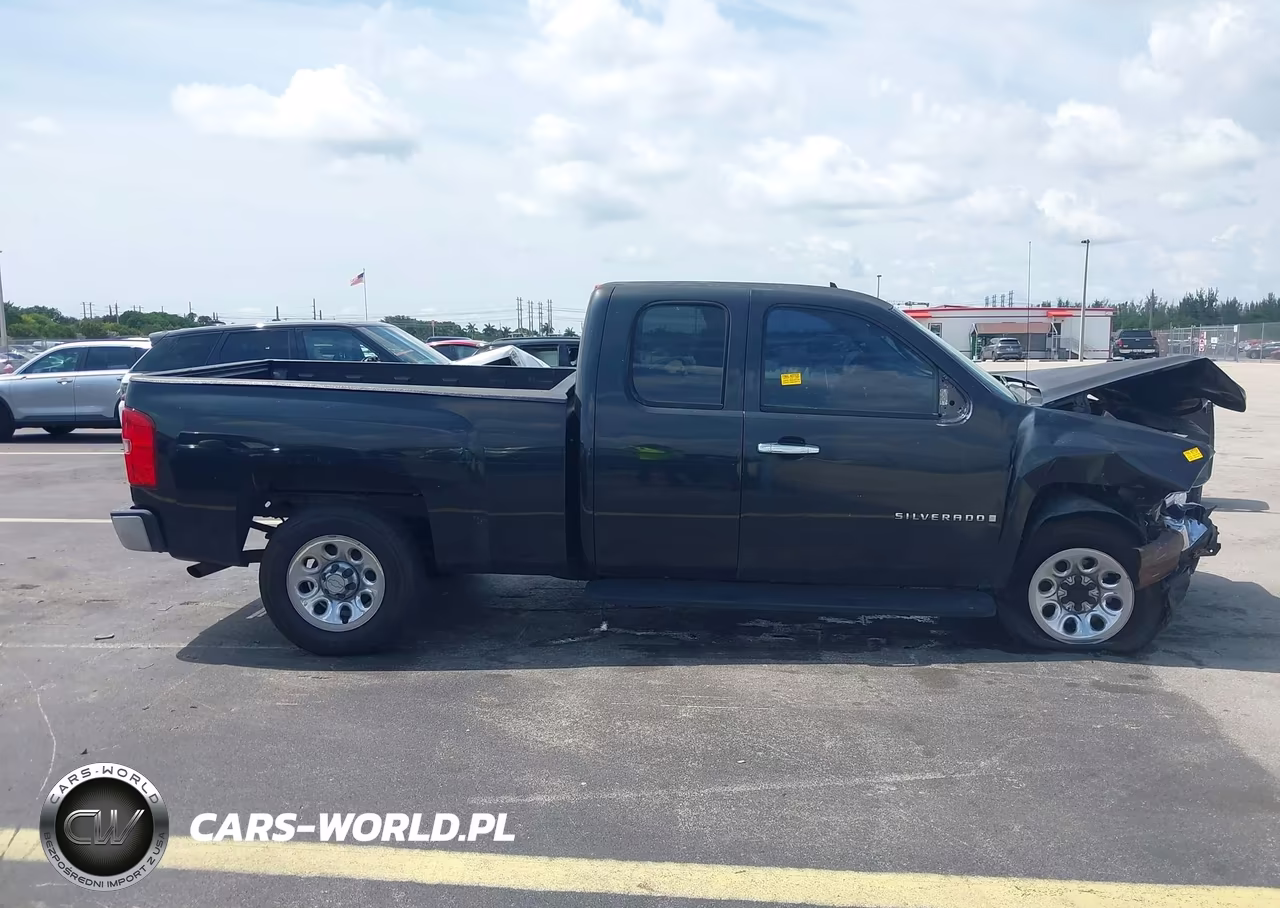 2009 Chevrolet Silverado 1500 Work Truck VIN:1GCEC19X29Z100936 - 13