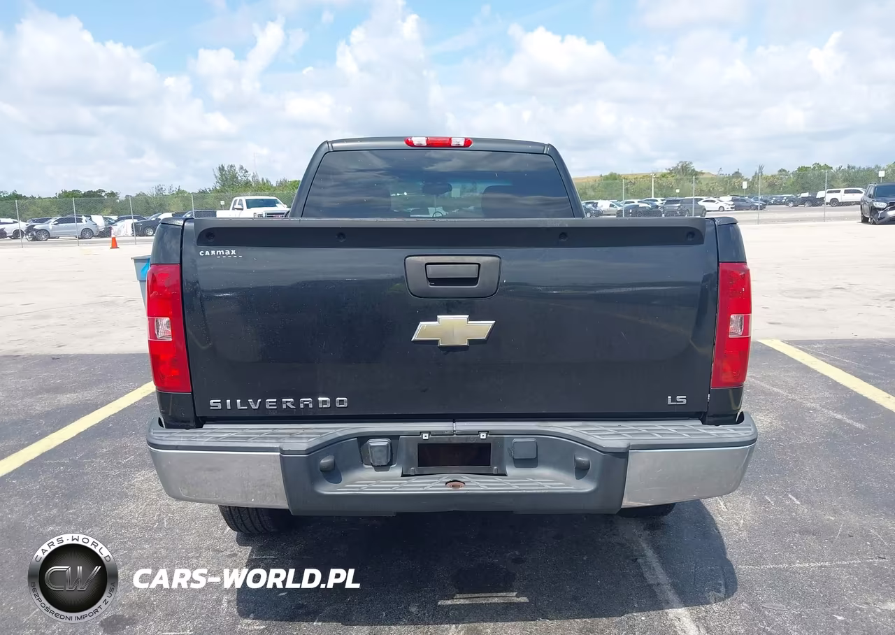 2009 Chevrolet Silverado 1500 Work Truck VIN:1GCEC19X29Z100936 - 16