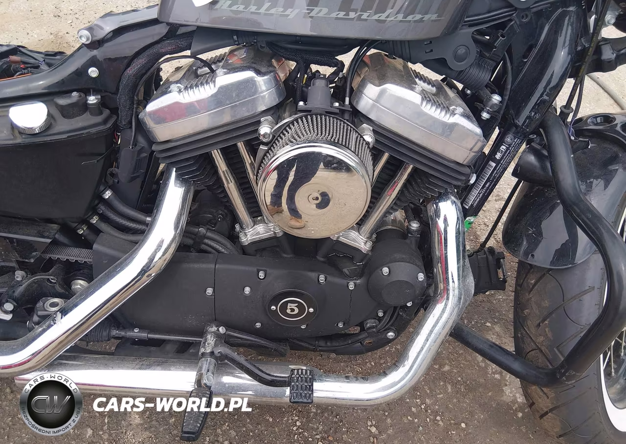 2015 Harley-Davidson Xl1200 Forty-Eight VIN:1HD1LC318FC403537 - 8