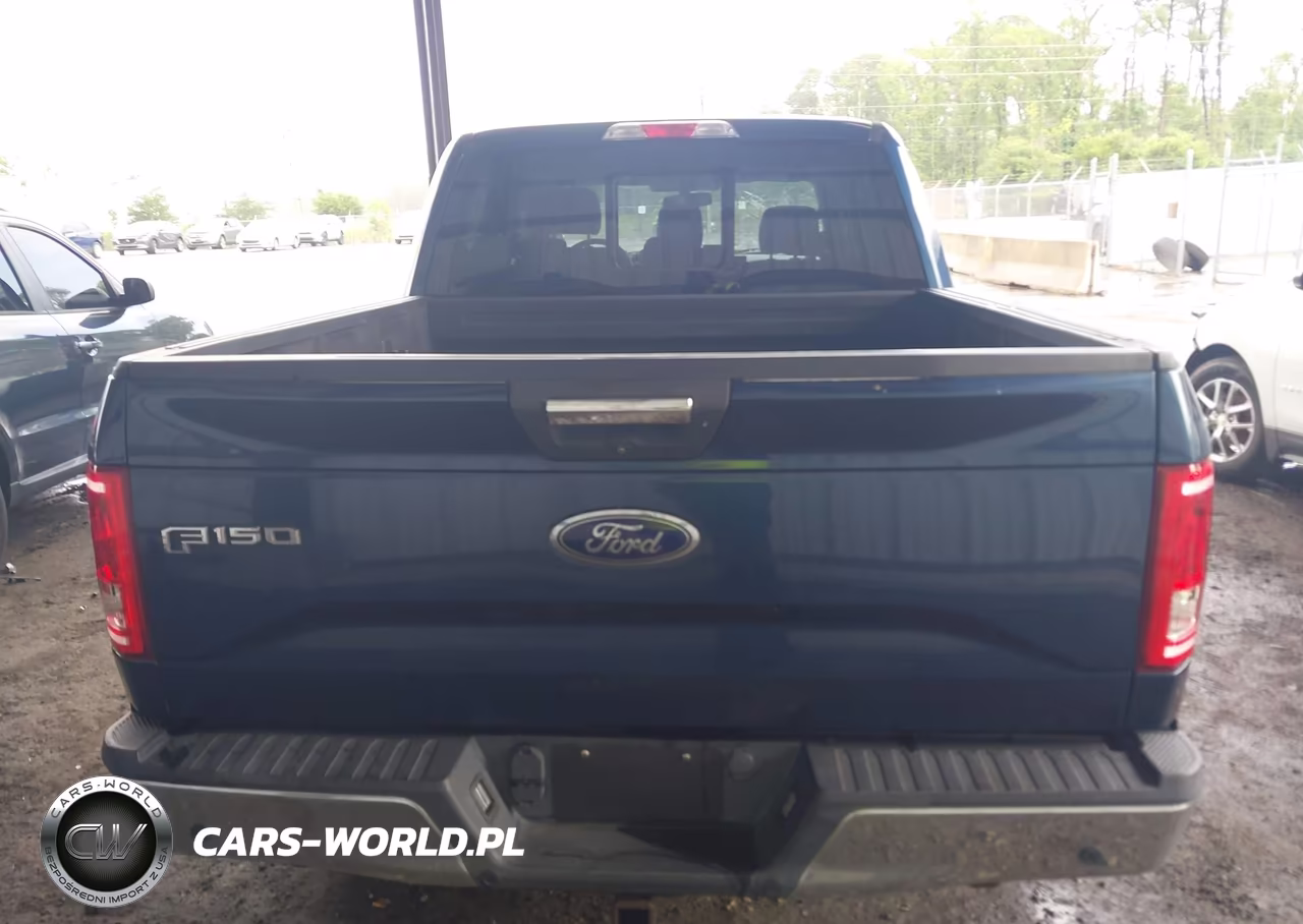 2016 Ford F-150 Xlt VIN:1FTEW1CP5GKF40817 - 16