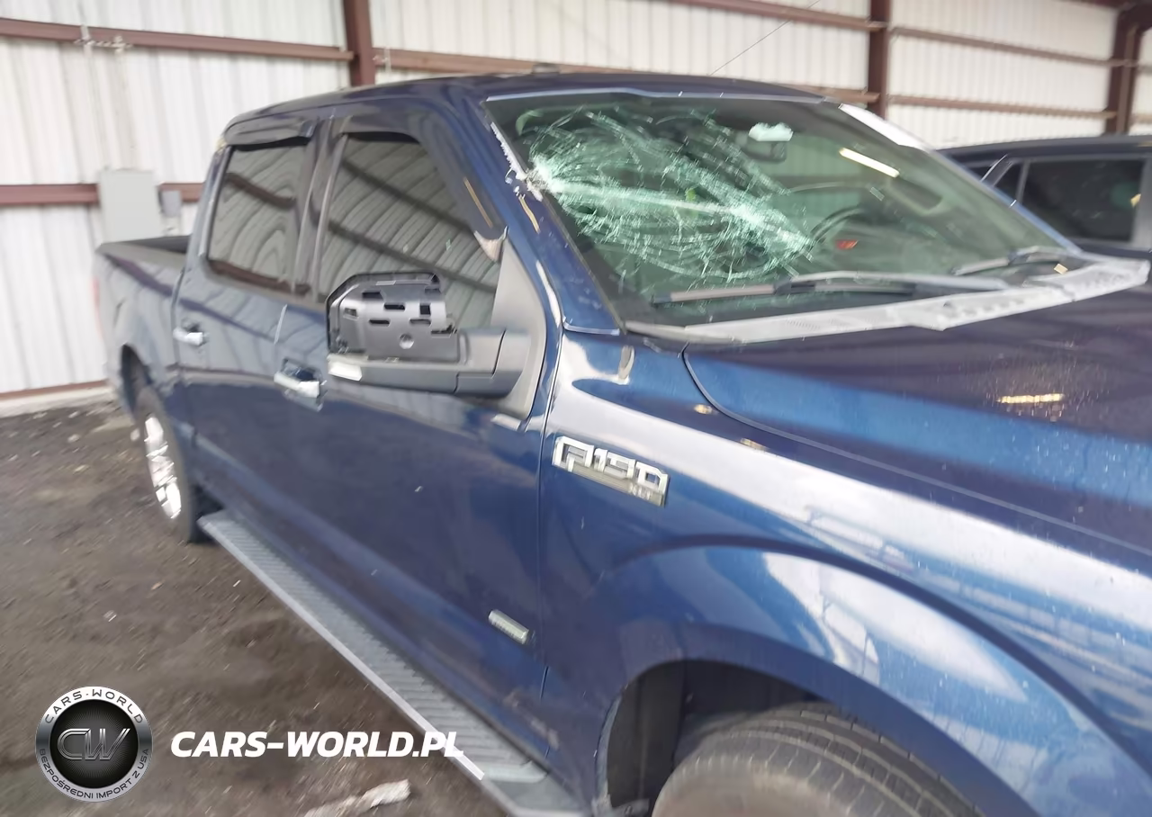 2016 Ford F-150 Xlt VIN:1FTEW1CP5GKF40817 - 6