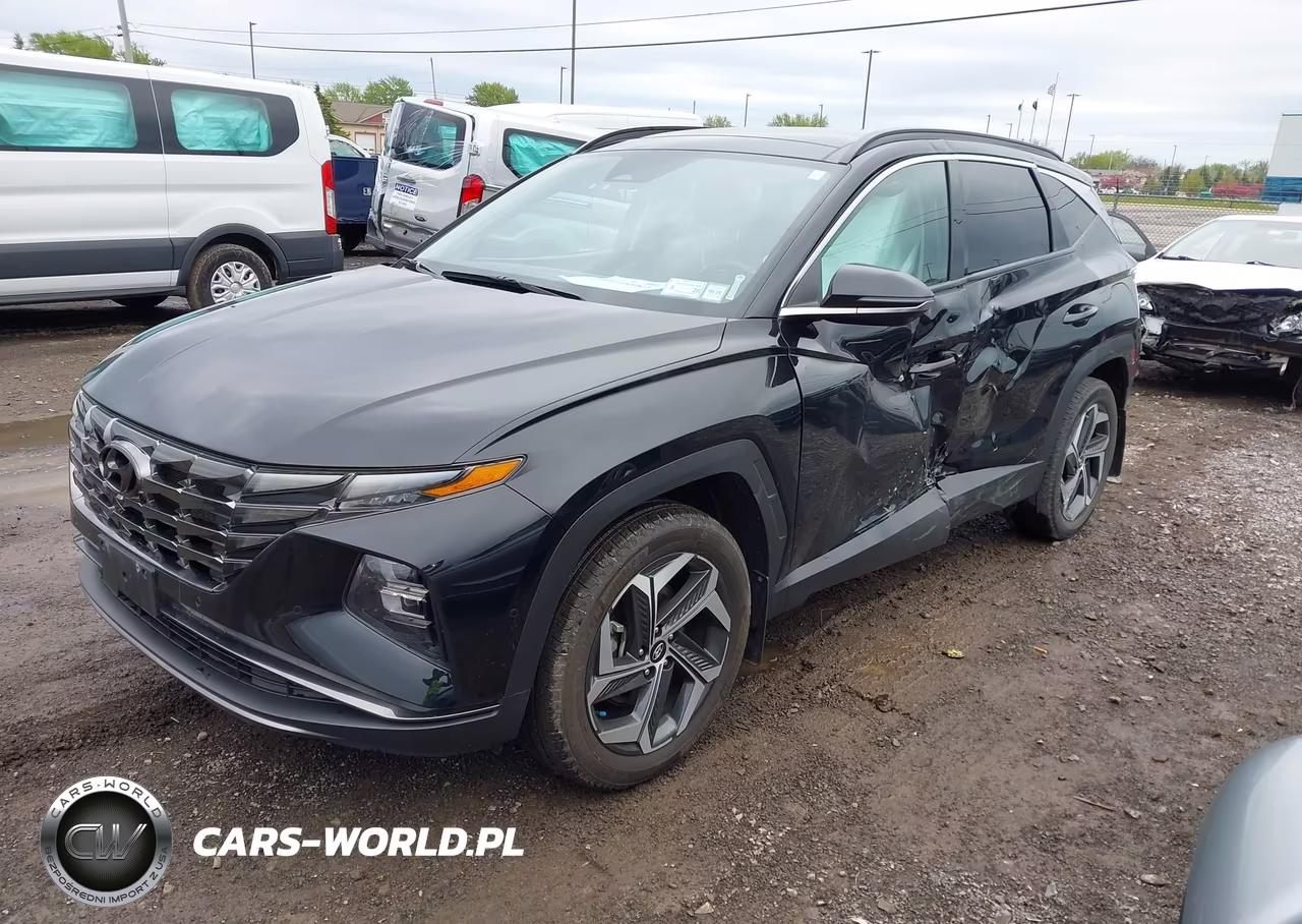 2022 Hyundai Tucson Limited VIN:5NMJECAE0NH135097 - 2
