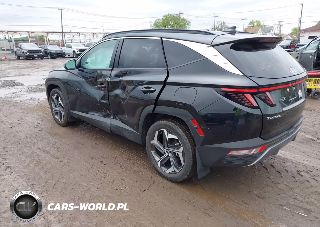 2022 Hyundai Tucson Limited VIN:5NMJECAE0NH135097 - 3