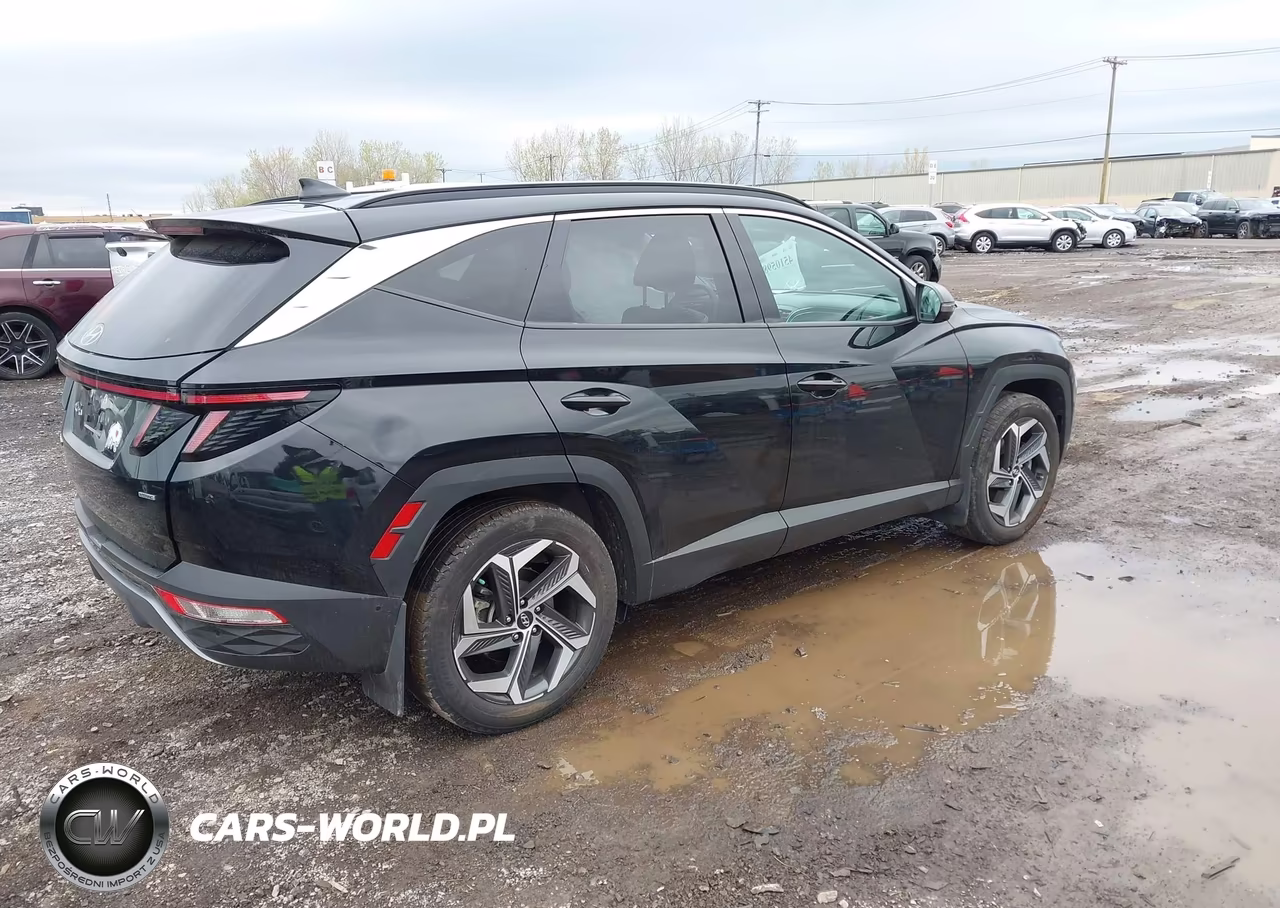 2022 Hyundai Tucson Limited VIN:5NMJECAE0NH135097 - 4